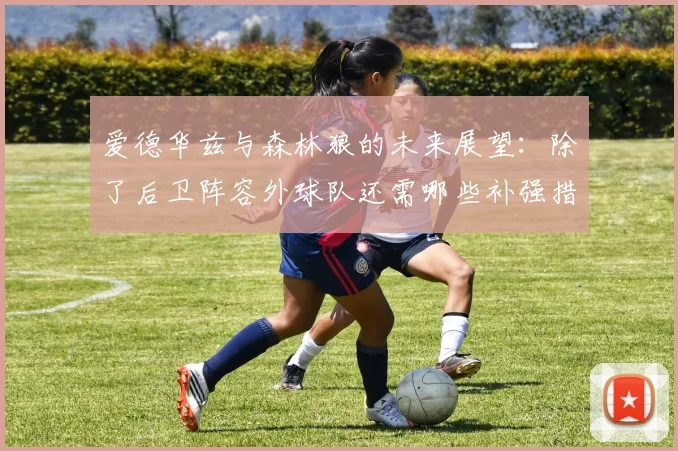 爱德华兹与森林狼的未来展望：除了后卫阵容外球队还需哪些补强措施