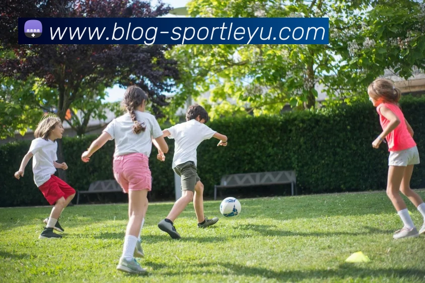 乐鱼体育发展历程